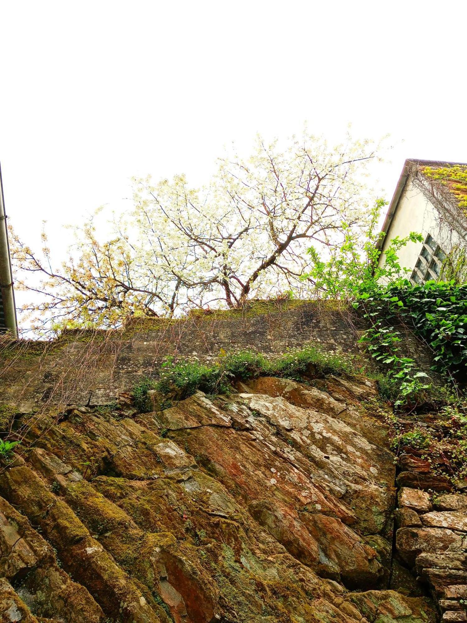 Albergue San Lazaro Sarria Zewnętrze zdjęcie